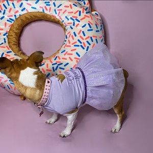 Purple dog dress